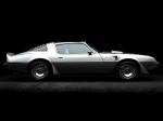 Pontiac Firebird Trans Am 6.6 L80 10th Anniversary Edition 1979 года